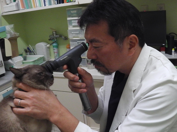 眼科検査